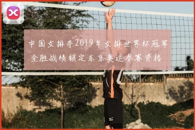 中国女排夺2019年女排世界杯冠军 全胜战绩锁定东京奥运参赛资格